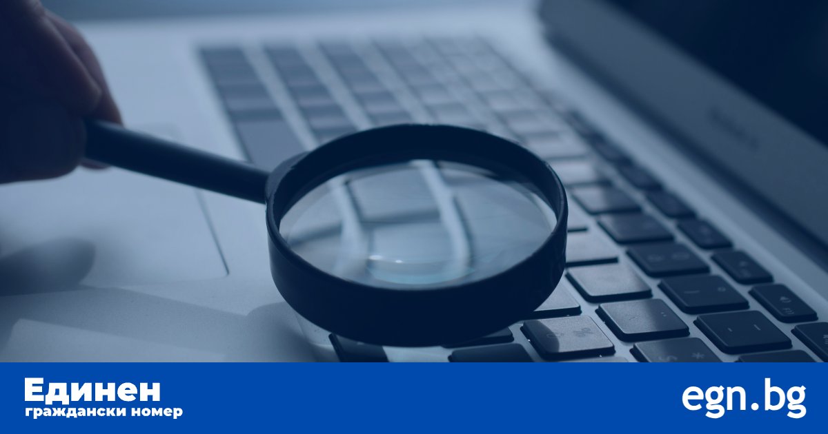 Как автоматичната проверка на ЕГН помага срещу измами онлайн