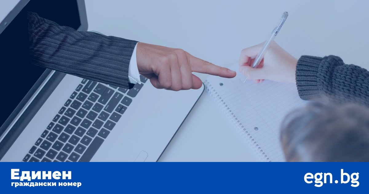 Какви онлайн услуги предлагат проверка на лични данни по ЕГН?