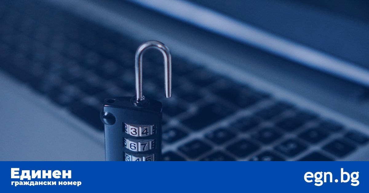 Най-чести онлайн измами в България през 2025 г. и как да се предпазим