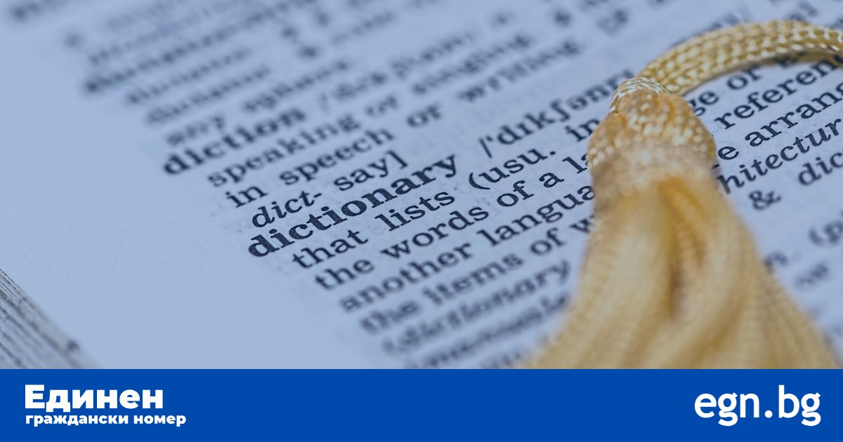 Речник на термините – ЕГН, ЛНЧ, НОИ, ЕИК и други