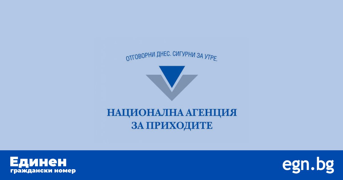 Възможна ли е проверка за данъци само по ЕГН? (Ръководство за НАП)